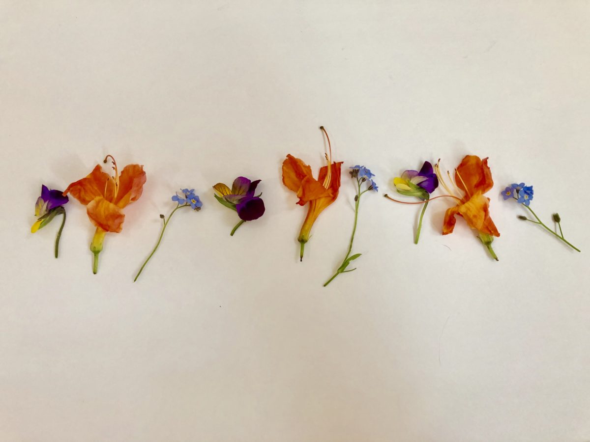 5 Fun Learning Activities Using Real Flowers - The Play Based Mom